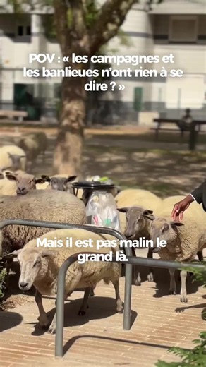 Bergers Urbains à Saint‑Denis : moutons, transhumance et agriculture en ville