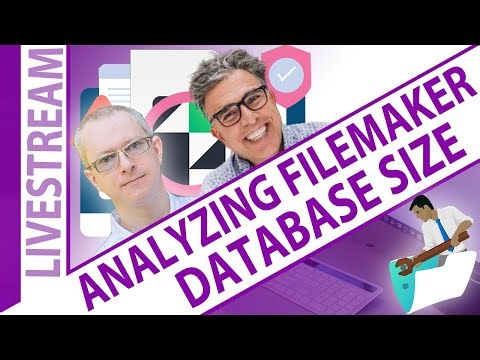 Analyzing FileMaker Database Size (What Has Eaten All That Space?) with HOnza and Vince