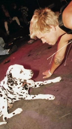 SUBLIME on Instagram: "On this day in 2001, Lou Dog went to the moon 🌙 RIP"