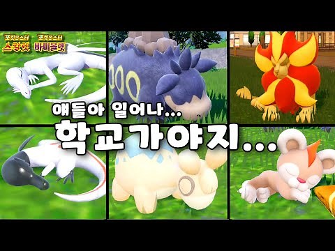 불.꽃.개.학! l 포켓몬스터 스칼렛 바이올렛 이로치 화염레오 폭타 염뉴트 헌팅