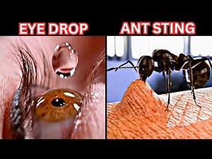 Things You Must See In Slow Motion | Tamil Amazing Facts