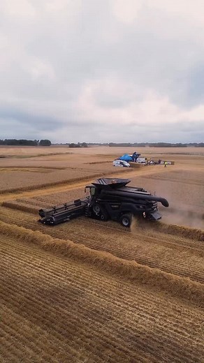 IDEAL Combine demo day. | The Farming Forum