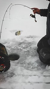 2.5K views · 33 reactions | The Croix Custom Ice "Micro Spoon" from St. Croix Rods! #stcroixrods | AnglingBuzz | Facebook