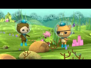 3x4Les Octonauts et le récif artificiel