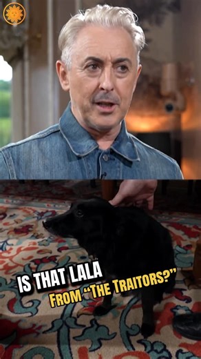 CBS Mornings on Instagram: "@alancummingreally tells @anthonymasoncbs that his rescue dog Lala has become a surprise breakout star on @thetraitorsus, recognized by fans and even featured on merch. Cumming says she never barks, so another dog somewhere has to dub her sounds. See more of their interview tomorrow, ahead of the season 4 premiere."