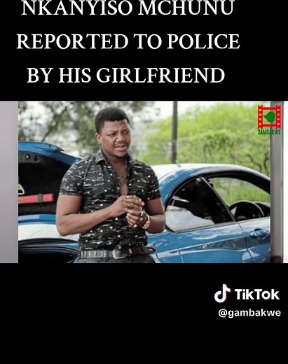 Nkanyiso Mchunu Police Report Details Uncovered