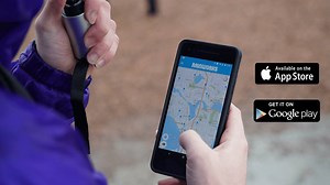 38K views · 83 reactions | EXCITING ANNOUNCEMENT: We now have a...