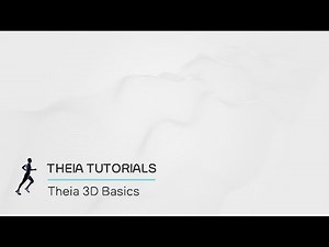 Theia3D Basics