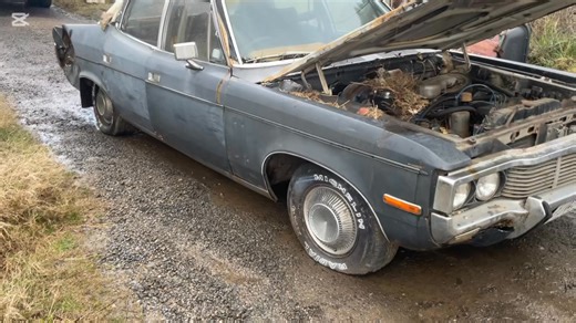 15K views · 384 reactions | While Tim was out buying Hondas I decided to go in a different direction, here is what we picked up this week , Buick, AMC, HOLDEN SS COMMODORE and a wee little Renault. ANY INQUIRIES JUST SEND US A MSG, LOCATED LILLYDALE VICTORIA, | Rusty Cars Down Under | Facebook