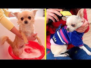 PREPARIAMO KIRA E RAY ALL' INCONTRO!