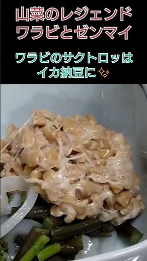 山菜のレジェンド・ワラビ＆ゼンマイ！
