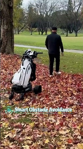 Autonomous Obstacle Avoidance Among Trees-Real-World Test