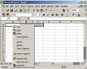 Word Excel 2003