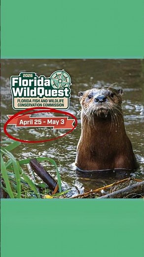 Florida WildQuest begins April 25th! 🌿