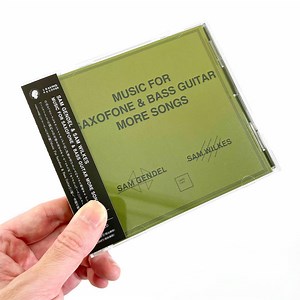 Sam Gendel & Sam Wilkes - Music For Saxofone & Bass Guitar: More Songs