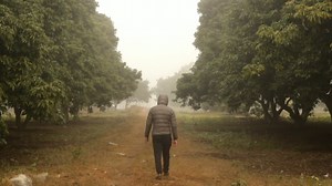 Walk, Lonely, Walking. Free Stock Video