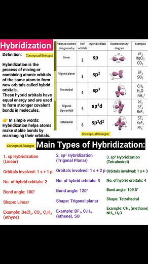 Hybridization 🔥 | Conceptual Biologist