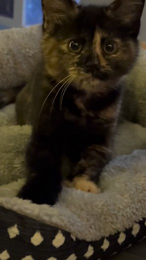 18 reactions | Jennifer Michelle Burns on Reels | Facebook