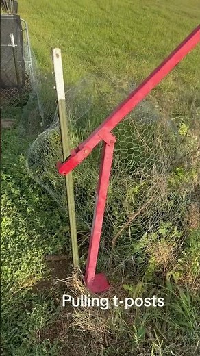 T-post puller demonstration. #puller #homestead #tpost #fyp