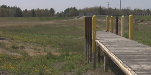 Controversy over Wixom Lake vegetation control method