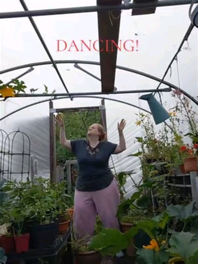 Heatwave Dance in the Polytunnel: Summer Garden Joy
