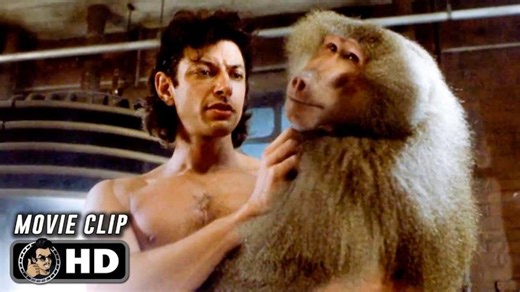 THE FLY Clip - Teleportation Successful (1986) Jeff Goldblum | Patricia Falco Beccalli (Szarvas)
