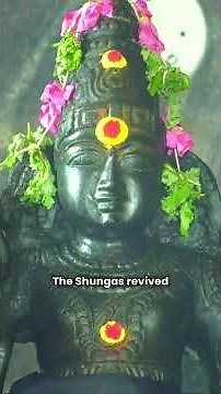 Shunga Dynasty Explained! Rise of Pushyamitra Shunga 🇮🇳 #IndianHistory #AncientIndia #ShungaDynasty