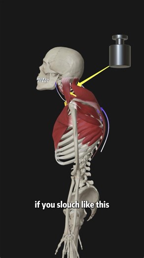 Effective Arm and Back Workout at Home