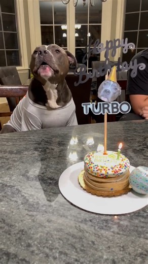 15K views · 466 reactions | Rumble on Reels | Facebook