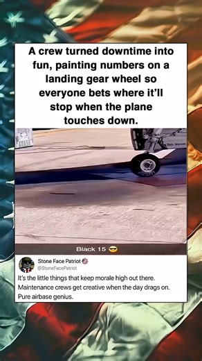 A crew turned downtime into fun, painting numbers on a landing gear wheel so everyone bets.mp4 | Movies USA