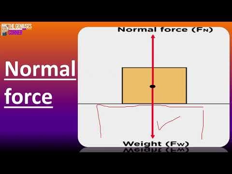 Grade 9 Natural Sciences | Paired Forces Explained (Part 2)