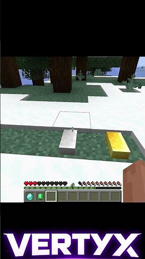 This Minecraft Items Display Mod Is SO CLEAN 🧱✨