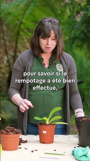 🪴 Découvrez notre tuto rempotage d'orchidée pour plus de conseils #orchidee #phalaenopsis #jardinage
