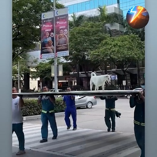 30K views · 290 reactions | Incredible Moments Caught on Camera | Best Of 2025 #91 | Unexpected Nature | Facebook