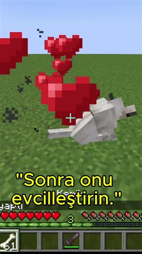 Minecraft NinjaGO Modu Ejderha Formuna Nasıl Geçilir #shorts #minecraft