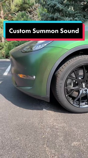 Brandon | Tesla Flex on TikTok