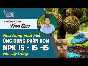 APN - FARMERS MUST KNOW HOW TO USE NPK 15:15:15 FERTILIZER IN CULTIVATION