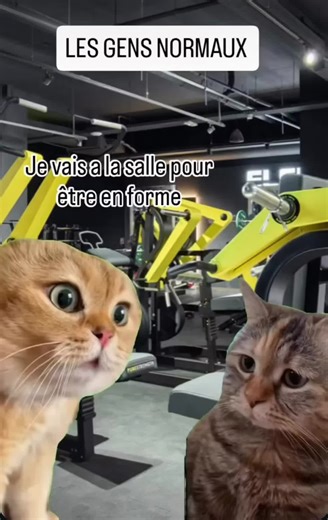 A la salle , faut avouer ont est tous un peu comme ça 😂😂 #humour #gymhumor #musculation #fitness #bodybuilding