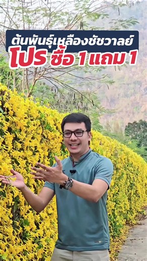 ดอกไม้เหลืองชัชวาลย์: ไอเดียแต่งสวนสวย