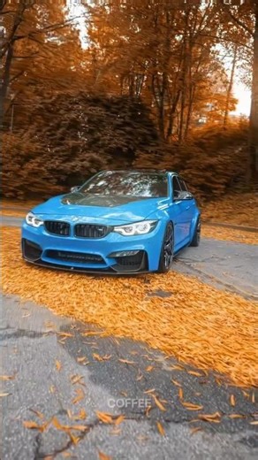 BMW’s Sonic History: A Symphony of Speed