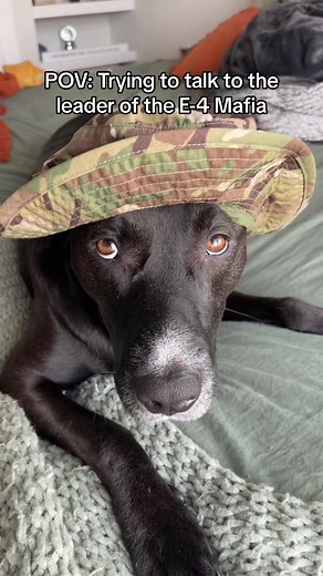 Military Medic Humor: E-4 Mafia POV