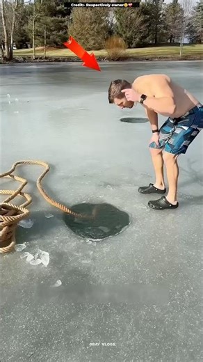 Building Wooden Log Cabin in Forest 🧐😍 _ Survival House Step by Step”99 #shorts #viral #fact