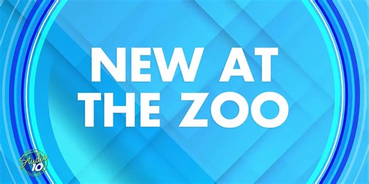 What's New at the Potter Park Zoo