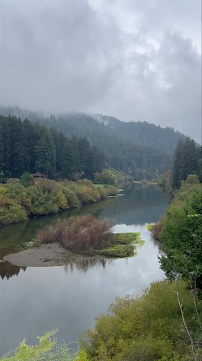 28K views · 857 reactions | Out of the rivers mist | Russian River Living | Facebook