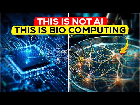 Scientists Create a Living Computer Using Real Brain Cells