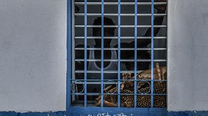 En Haïti, plusieurs morts lors d'une évasion massive de détenus à Port-au-Prince