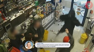 31K views · 354 reactions | L'incredibile storia di Buba, il gorilla che entra nel Bar per andare in bagno... #theShow #candidcamera | theShow | Facebook