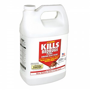 Kills Bedbugs Spray, Oil Base, Gallon with Sprayer - J.T. Eaton