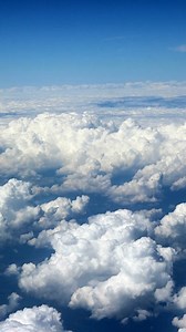 3.4K views | Dreaming of a beautiful lanai, birdcage, or insulated...