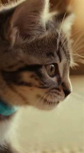 The ultimate staring contest!!!